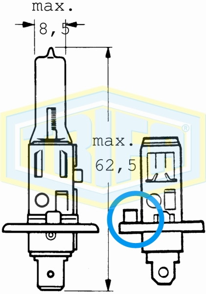 H1 Halogen bulbs Rallye