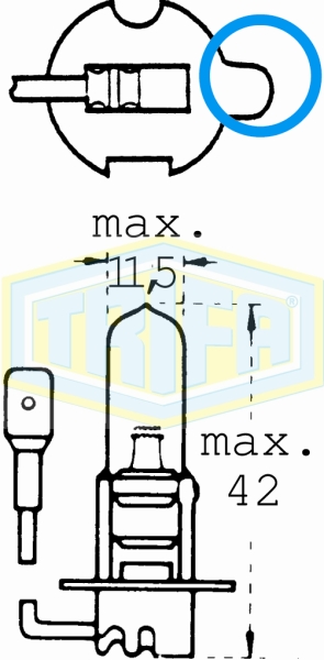 H3 Halogen bulbs Rallye