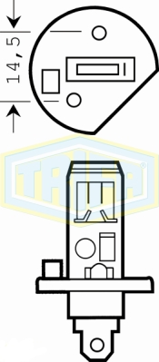 H1 Halogen bulbs Rallye